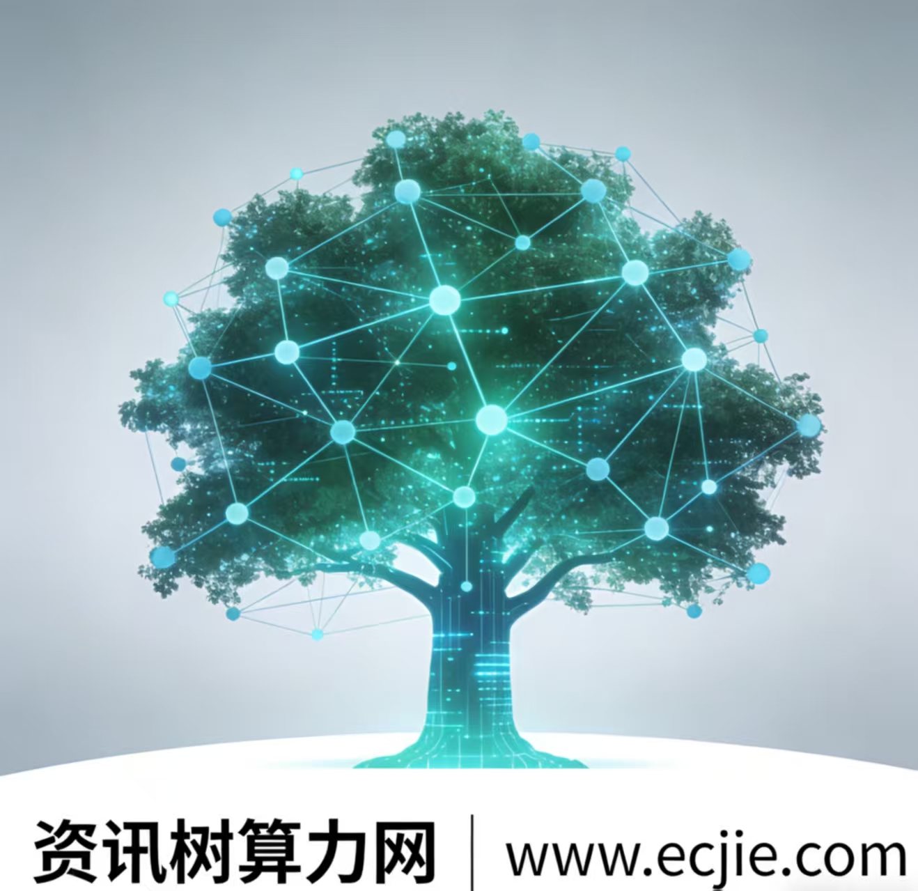 资讯树算力网