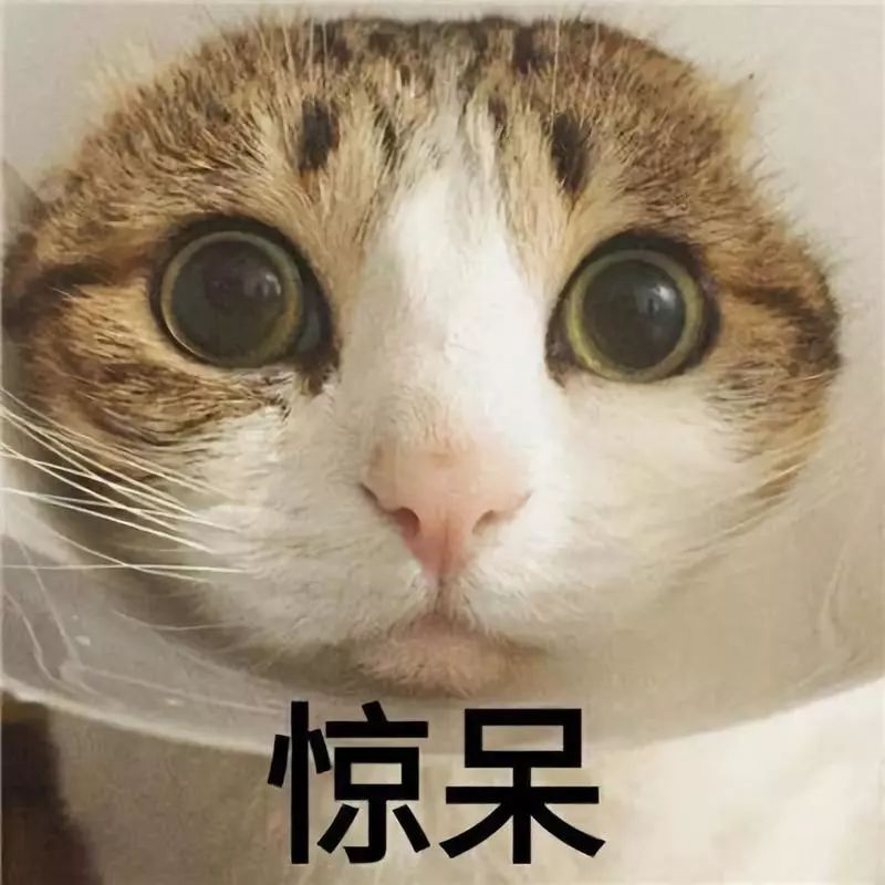 中国家装风云汇：齐家网、、拼家装、兔八哥 你最相信谁？