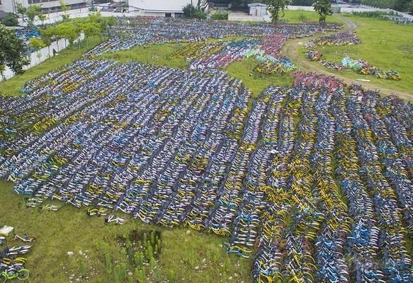 共享单车变共享垃圾，单车“尸体”堆积如山|图说