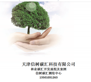 构建碳中和愿景下中国经济社会转型模式