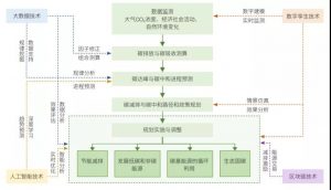 信树碳汇-林业碳汇项目开发流程及案例