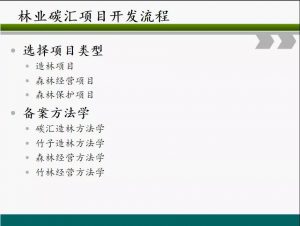 信树碳汇-林业碳汇项目开发流程及案例