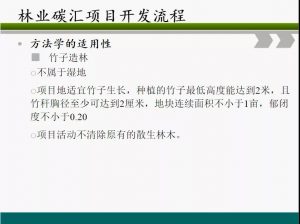 信树碳汇-林业碳汇项目开发流程及案例